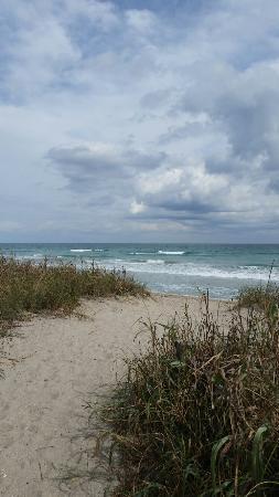 Normandy Beach